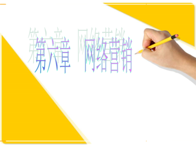 第6章网络营销概论.ppt